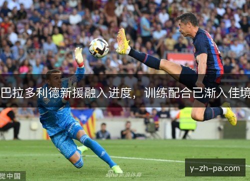 巴拉多利德新援融入进度，训练配合已渐入佳境