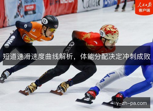 短道速滑速度曲线解析，体能分配决定冲刺成败